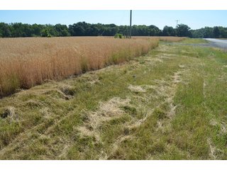 Property photo 41 - 108 +/- Acres Offered in 2 Tracts - Land Auction